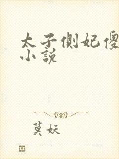 太子侧妃傻乎乎小说