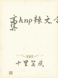 高hnp辣文合集封面