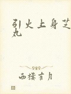 引火上身芝麻糖丸