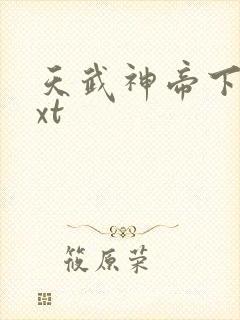 天武神帝下载txt