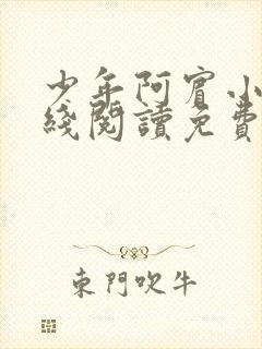 少年阿宾小说在线阅读免费全文