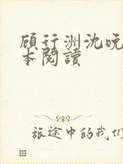 顾行洲沈晚宁全本阅读
