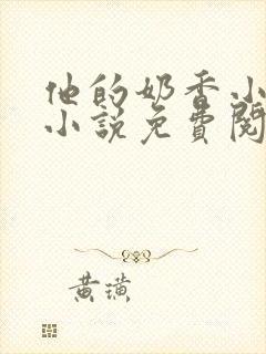 他的奶香小仙女小说免费阅读