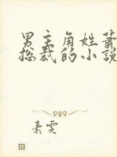 男主角姓萧是个总裁的小说