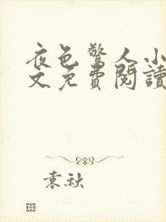 夜色惊人小说全文免费阅读txt完结版