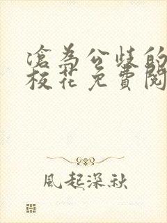 沧为公歧的清纯校花免费阅读苏软沈封面