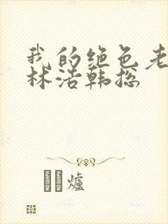 我的绝色老板娘林浩韩总