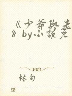 《少爷与老实人》by小说免费阅读