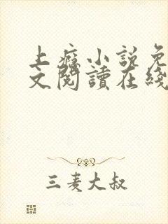 上瘾小说免费全文阅读在线