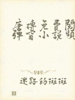 唐砖免费阅读无弹窗小说频道