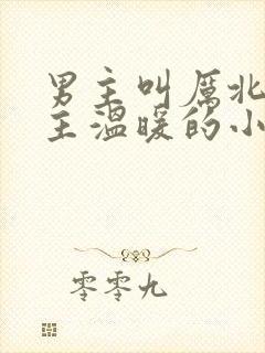 男主叫厉北霆女主温暖的小说