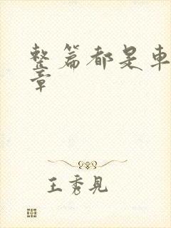 整篇都是车的文章