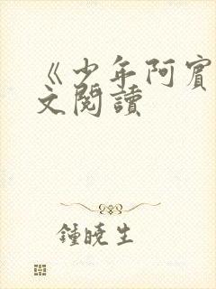 《少年阿宾》全文阅读