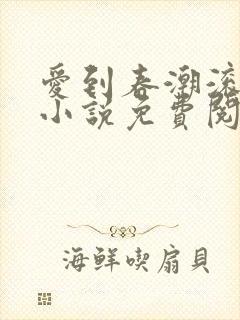 爱到春潮滚滚来小说免费阅读