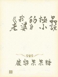 《我的极品美女老婆》小说