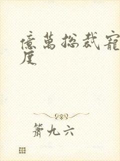亿万总裁宠妻无度
