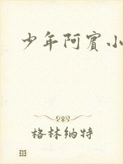 少年阿宾小说