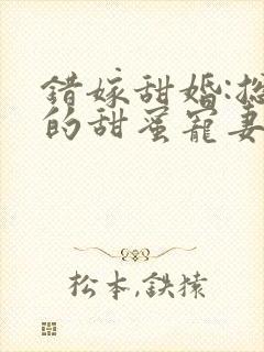 错嫁甜婚:总裁的甜蜜宠妻