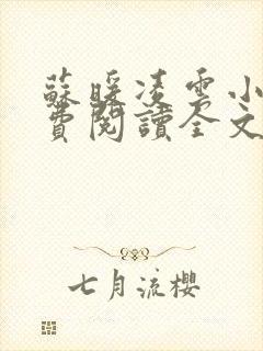 苏暖凌云小说免费阅读全文无弹窗
