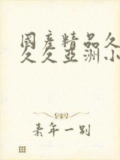 国产精品久久久久久亚洲小说