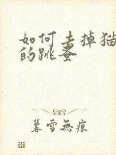 如何去掉猫身上的跳蚤