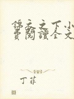 锦衣之下小说免费阅读全文无删减封面