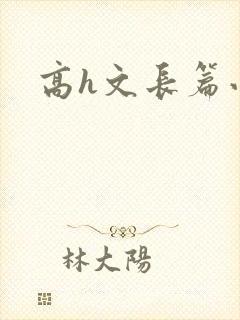 高h文长篇小说封面