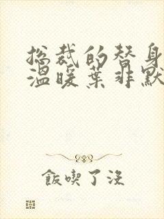 总裁的替身前妻温暖叶非默