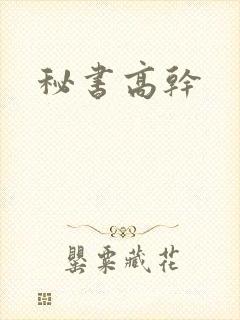 秘书高干封面