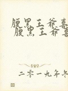 腹黑王爷喜当爹 腹黑王爷喜当爹封面