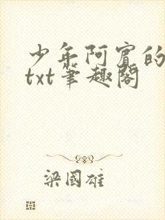 少年阿宾的小说txt笔趣阁封面