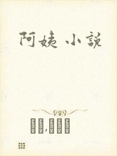 阿姨 小说封面