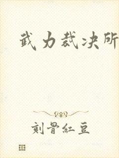 武力裁决所