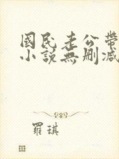 国民老公带回家小说无删减封面