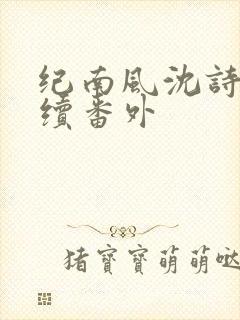 纪南风沈诗澜后续番外