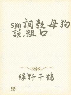 sm调教母狗小说,粗口