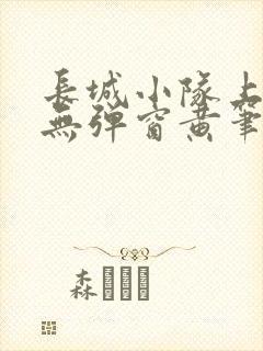 长城小队上中下无弹窗黄笔趣阁
