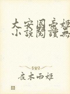 大安国帝姬在线小说阅读无弹窗