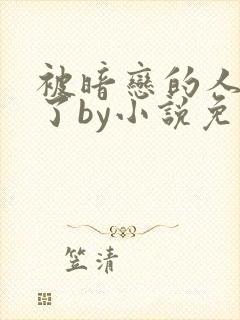 被暗恋的人俘虏了by小说免费阅读