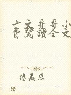 十文哥哥小说免费阅读全文