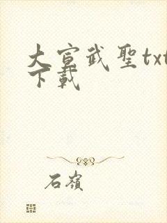 大宣武圣txt下载