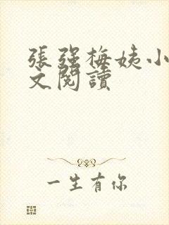 张强梅姨小说全文阅读