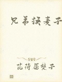 兄弟换麦子4封面