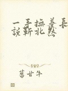一手抚养长大小说靳北然封面