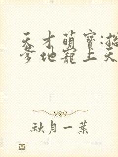 天才萌宝:总裁爹地宠上天封面