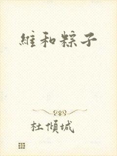 维和粽子