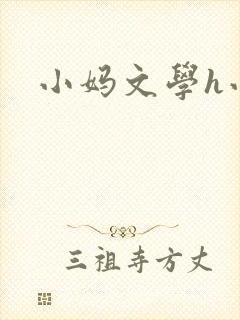 小妈文学h小说