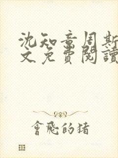 沈知意周斯年全文免费阅读