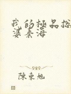 我的极品总裁老婆秦海