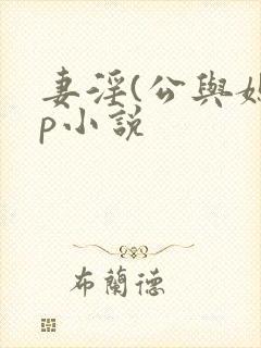 妻淫(公与媳3p小说